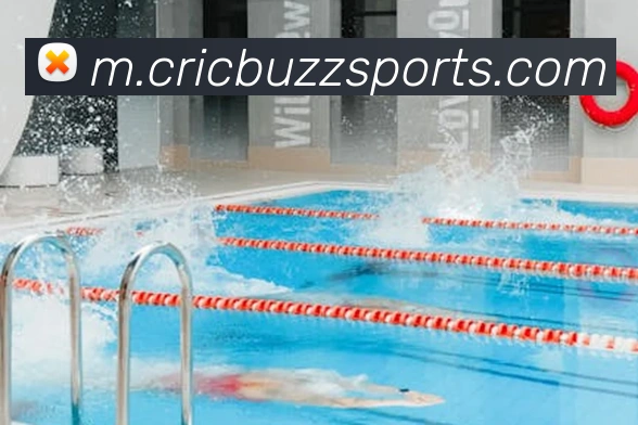 体育下注服务体系